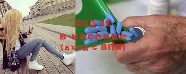 ПСИЛОЦИБИНОВЫЕ ГРИБЫ Верхнеуральск