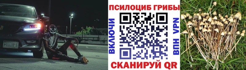 Псилоцибиновые грибы MAGIC MUSHROOMS  Клин 